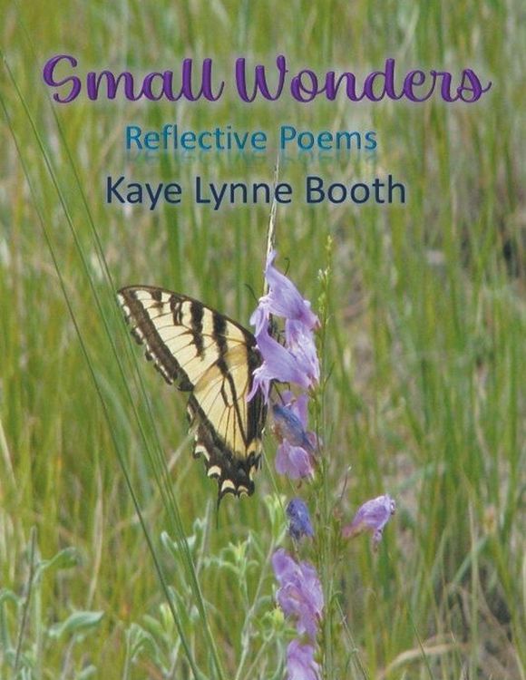 Produktbild: Small Wonders
