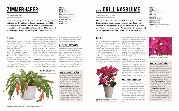 Produktbild: Gr&uuml;nes Gartenwissen. Die sch&ouml;nsten Zimmerpflanzen
