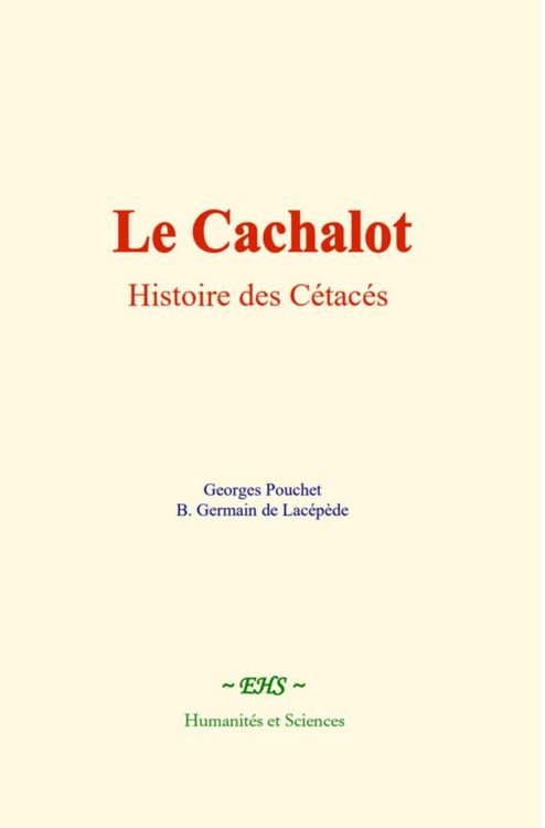 Produktbild: Le Cachalot