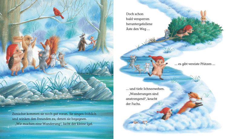 Produktbild: Der kleine Igel rettet die Biber