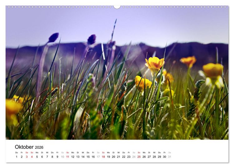 Produktbild: D&uuml;nenmomente - Ein Tag in den D&uuml;nen Nordj&uuml;tlands (hochwertiger Premium Wandkalender 2026 DIN A2 quer), Kunstdruck in Hochglanz