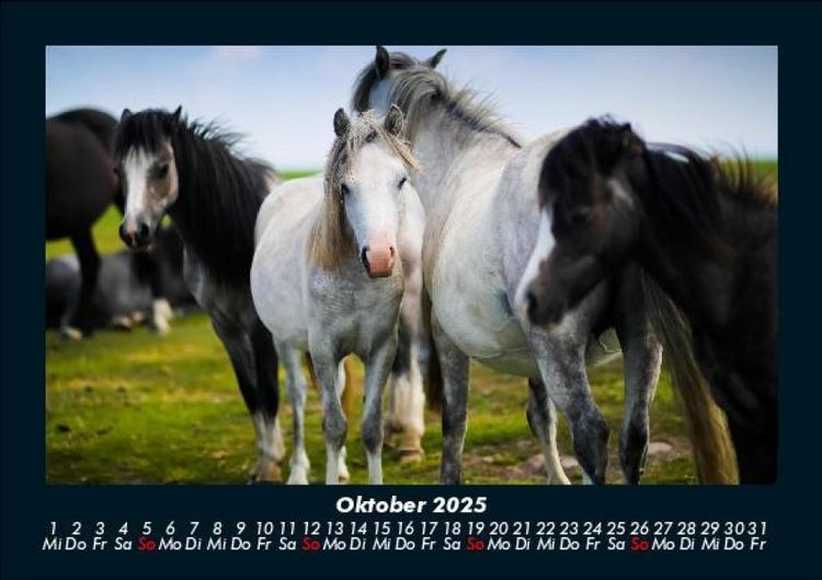 Produktbild: Die Welt der Pferde 2025 Fotokalender DIN A5