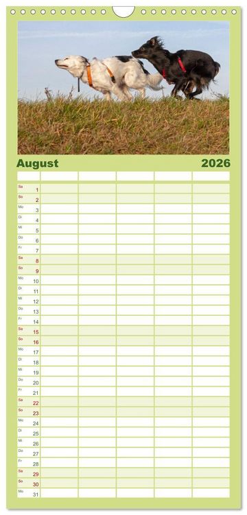 Produktbild: Familienplaner 2026 - Hunde - Beste Freunde der Menschen mit 5 Spalten (Wandkalender, 21 x 45 cm) CALVENDO