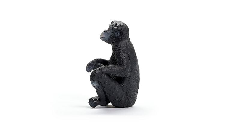 Produktbild: schleich&reg; 14875 - Wild Life, Bonobo Weibchen, Affe, Tierfigur, H&ouml;he: 6 cm