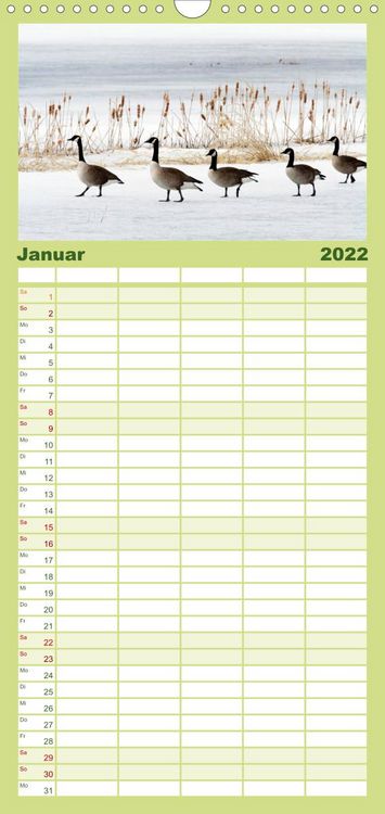 Produktbild: KANADA-GANS - Der 'hupende' Vogel - Familienplaner hoch (Wandkalender 2022 , 21 cm x 45 cm, hoch)