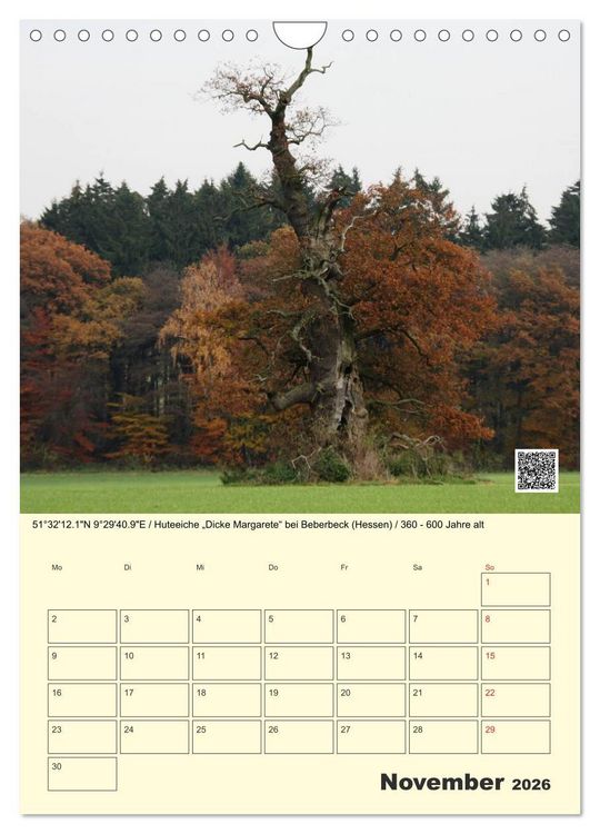 Produktbild: Uralt - Mit QR-Code und GPS zu alten B&auml;umen (Wandkalender 2026 DIN A4 hoch), CALVENDO Monatskalender