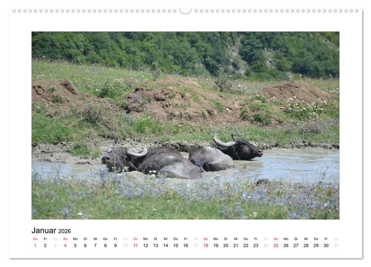 Produktbild: GEORGIEN 2026 (hochwertiger Premium Wandkalender 2026 DIN A2 quer), Kunstdruck in Hochglanz