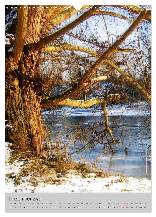 Produktbild: Faszination Baum (Wandkalender 2026 DIN A3 hoch), CALVENDO Monatskalender