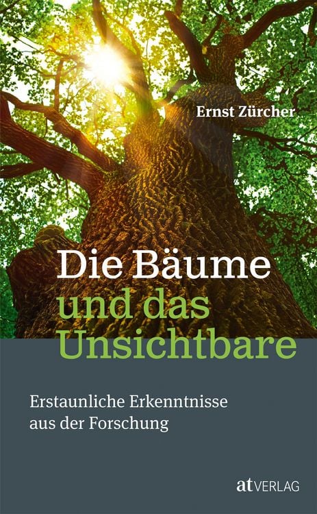 Produktbild: Die B&auml;ume und das Unsichtbare
