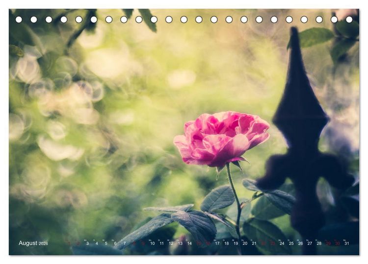 Produktbild: Die Welt der Alten Rosen (Tischkalender 2026 DIN A5 quer), CALVENDO Monatskalender