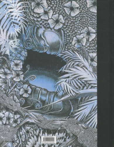 Produktbild: Alice au pays des singes