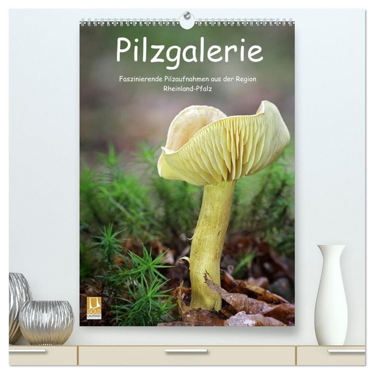 Produktbild: Pilzgalerie - Faszinierende Pilzaufnahmen aus der Region Rheinland-Pfalz (hochwertiger Premium Wandkalender 2026 DIN A2 hoch), Kunstdruck in Hochglanz
