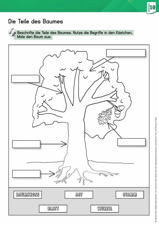 Produktbild: Arbeitsmaterial Grundschule. Sachunterricht. Tiere und Pflanzen im Wald
