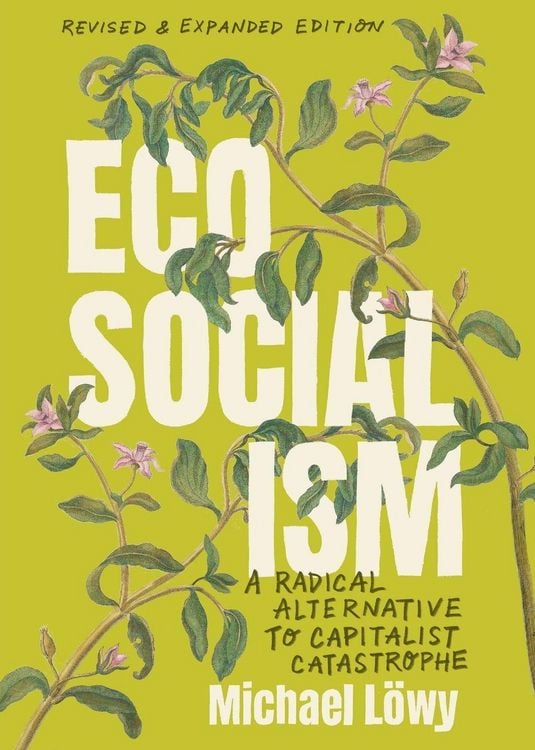 Produktbild: Ecosocialism (Revised and Expanded Edition)