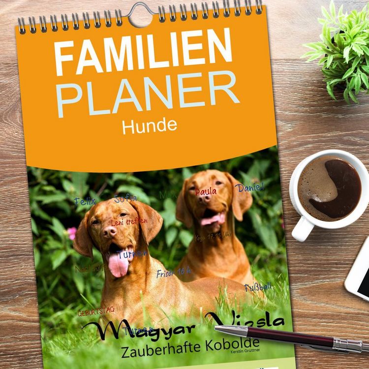 Produktbild: Familienplaner 2026 - Magyar Vizsla - Zauberhafte Kobolde mit 5 Spalten (Wandkalender, 21 x 45 cm) CALVENDO