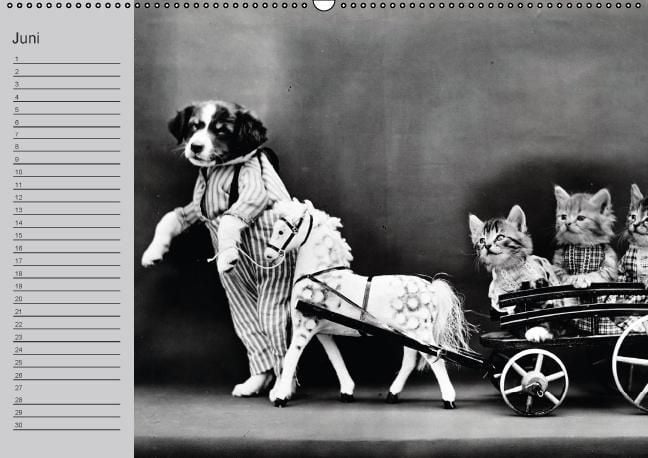 Produktbild: Katzen und Hunde - Nostalgie auf Pfoten (Wandkalender immerw&auml;hrend DIN A2 quer)