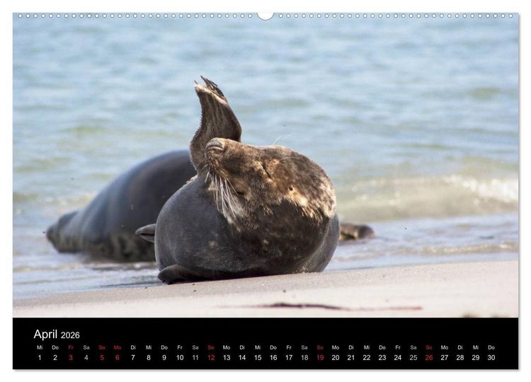 Produktbild: Helgoland - idyllische Nordseeinsel (hochwertiger Premium Wandkalender 2026 DIN A2 quer), Kunstdruck in Hochglanz