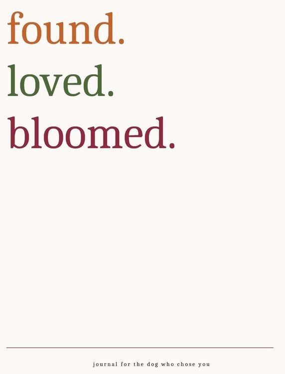 Produktbild: found.loved.bloomed.
