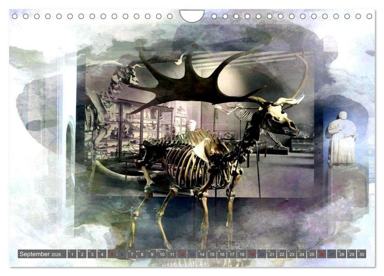 Produktbild: Erlebnis-R&auml;ume Kunst und Kultur in Hildesheim (Wandkalender 2026 DIN A4 quer), CALVENDO Monatskalender