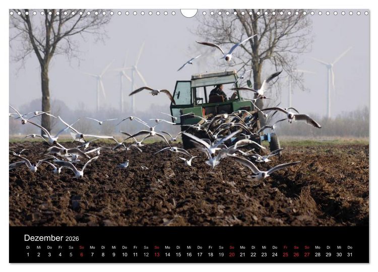 Produktbild: Trecker & Co. bei der Arbeit - Landwirtschaft in Ostfriesland (Wandkalender 2026 DIN A3 quer), CALVENDO Monatskalender