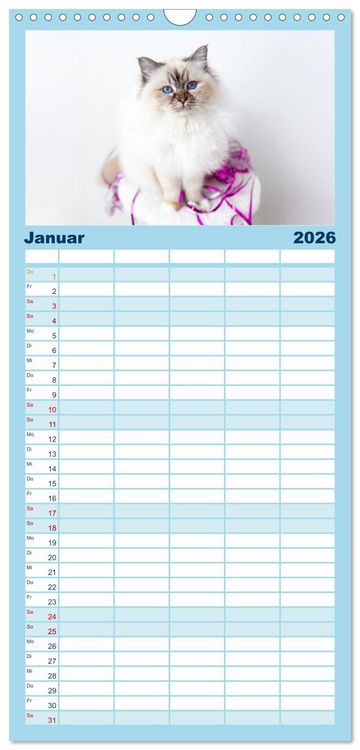 Produktbild: Familienplaner 2026 - Heilige Birma Katzen Kalender mit 5 Spalten (Wandkalender, 21 x 45 cm) CALVENDO