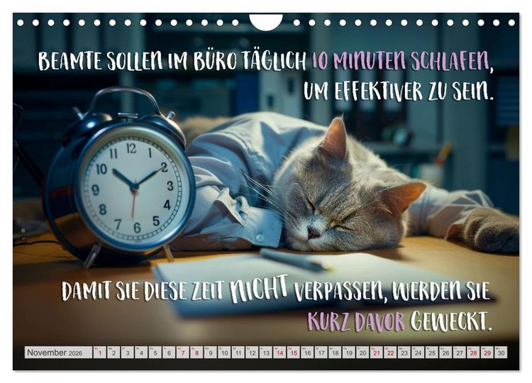 Produktbild: BEH&Ouml;RDE Der allt&auml;gliche Wahnsinn (Wandkalender 2026 DIN A4 quer), CALVENDO Monatskalender