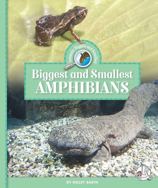 Produktbild: Biggest and Smallest Amphibians