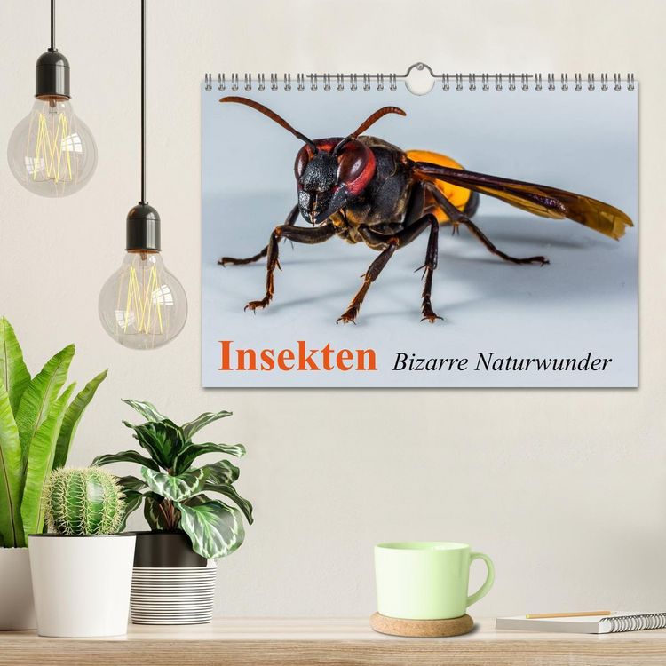 Produktbild: Insekten &bull; Bizarre Naturwunder (Wandkalender 2026 DIN A4 quer), CALVENDO Monatskalender