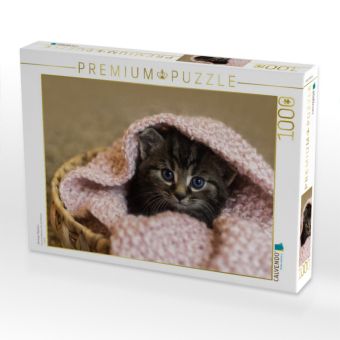 Produktbild: CALVENDO Puzzle Minikater M&auml;xchen | 1000 Teile Lege-Gr&ouml;&szlig;e 64x48cm Foto-Puzzle f&uuml;r gl&uuml;ckliche Stunden