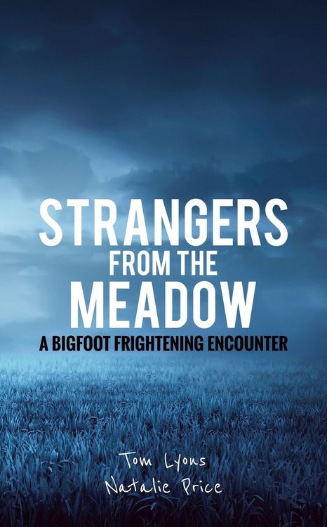 Produktbild: Strangers from the Meadow: A Bigfoot Frightening Encounter