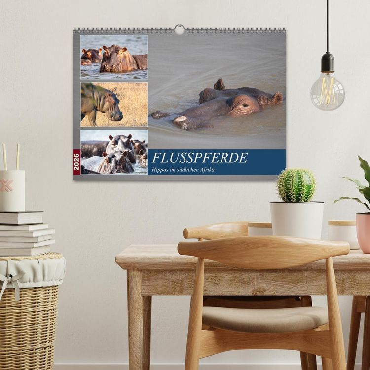 Produktbild: Hippos im s&uuml;dlichen Afrika (Wandkalender 2026 DIN A3 quer), CALVENDO Monatskalender