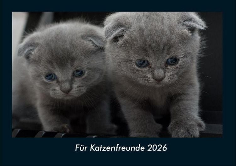 Produktbild: F&uuml;r Katzenfreunde 2026 Fotokalender DIN A4