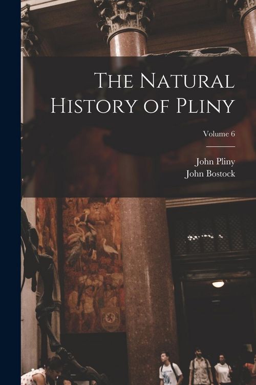 Produktbild: The Natural History of Pliny; Volume 6