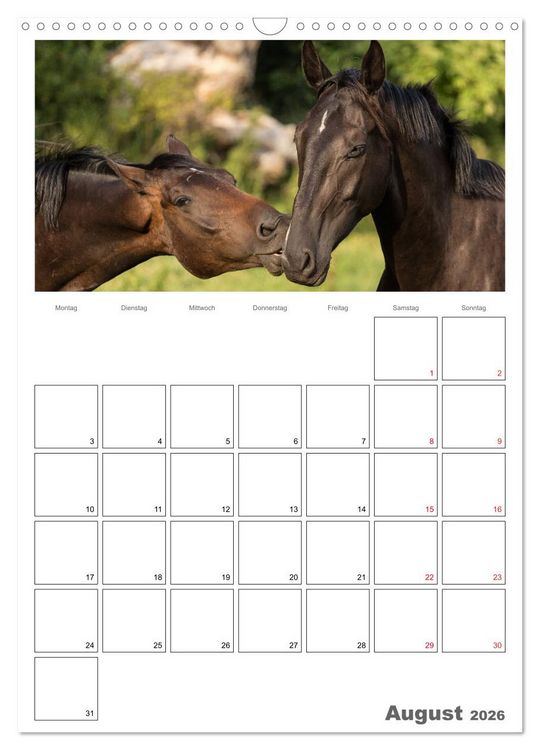 Produktbild: Pferde - Kameraden mit vier Hufen (Wandkalender 2026 DIN A3 hoch), CALVENDO Monatskalender