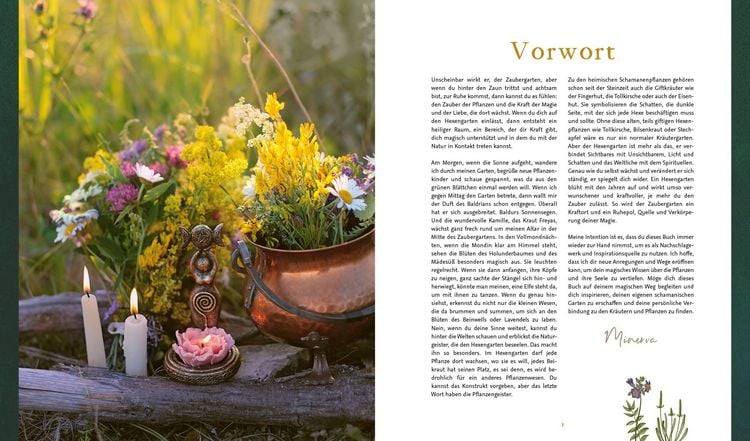 Produktbild: Magie im Hexengarten &ndash; G&auml;rtnern mit gr&uuml;ner Magie