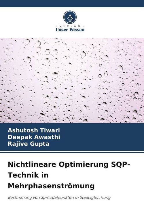 Produktbild: Nichtlineare Optimierung SQP-Technik in Mehrphasenstr&ouml;mung