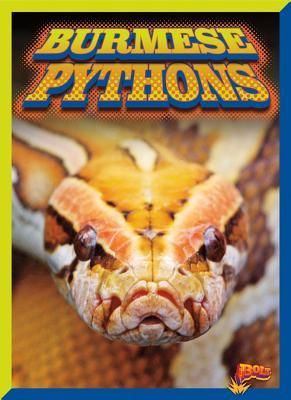 Produktbild: Burmese Pythons