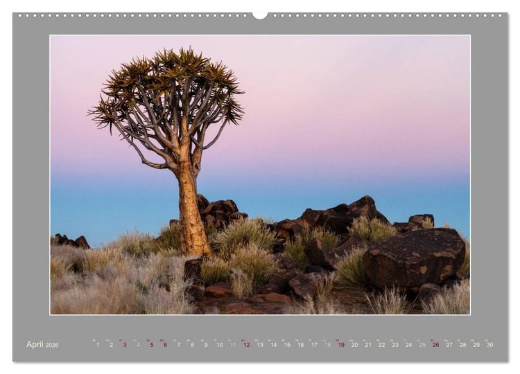 Produktbild: Namibia - Die Farben der Namib (Wandkalender 2026 DIN A2 quer), CALVENDO Monatskalender