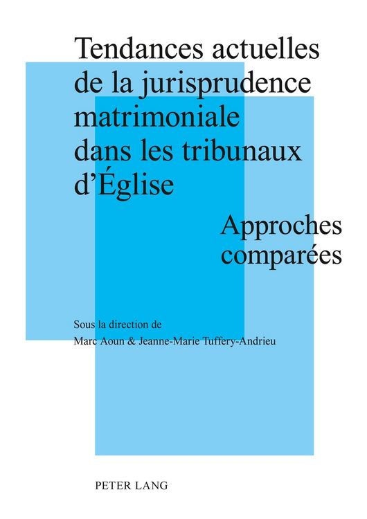 Produktbild: Tendances actuelles de la jurisprudence matrimoniale dans les tribunaux d&rsquo;&Eacute;glise