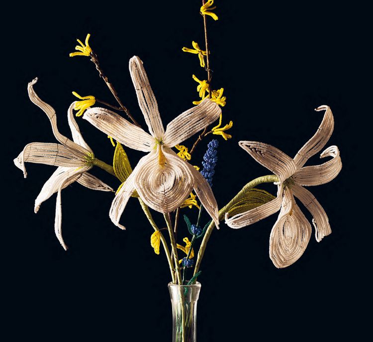 Produktbild: Flora ad infinitum