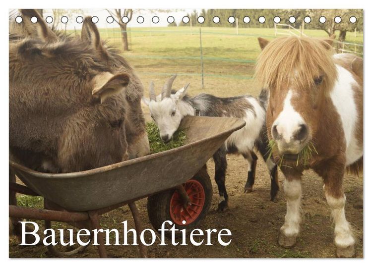 Produktbild: Bauernhoftiere (Tischkalender 2026 DIN A5 quer), CALVENDO Monatskalender