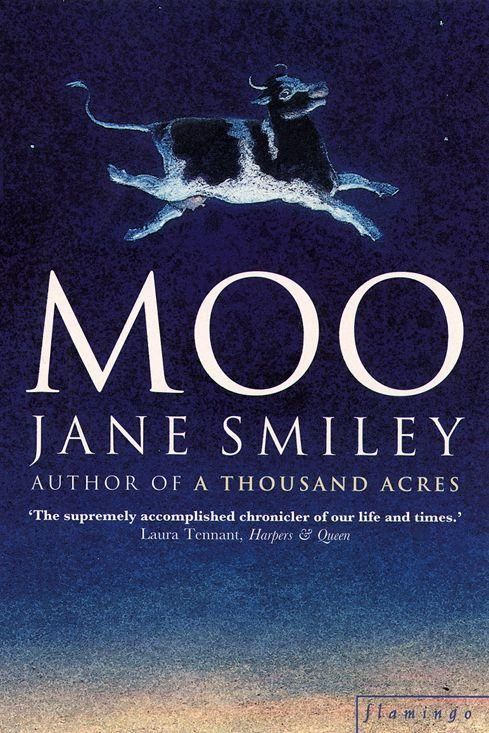 Produktbild: Moo