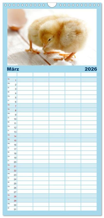Produktbild: Familienplaner 2026 - K&uuml;ken in der Kinderstube mit 5 Spalten (Wandkalender, 21 x 45 cm) CALVENDO