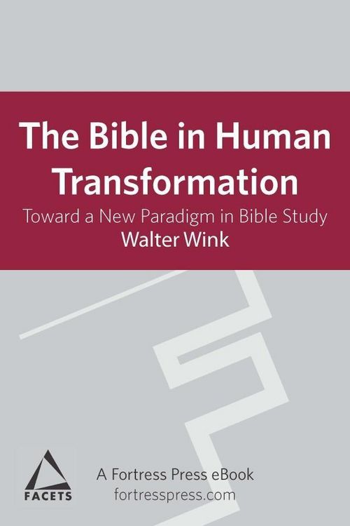 Produktbild: Bible in Human Transformation