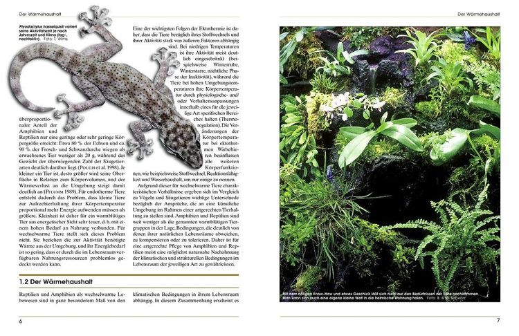 Produktbild: Terrarieneinrichtung