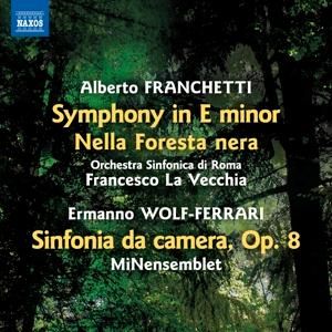 Produktbild: Symphony in E minor