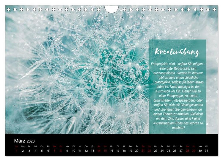 Produktbild: Die Sch&ouml;nheit der Natur - Naturfotografie-Kalender mit Foto- und Kreativ&uuml;bungen (Wandkalender 2026 DIN A4 quer), CALVENDO Monatskalender