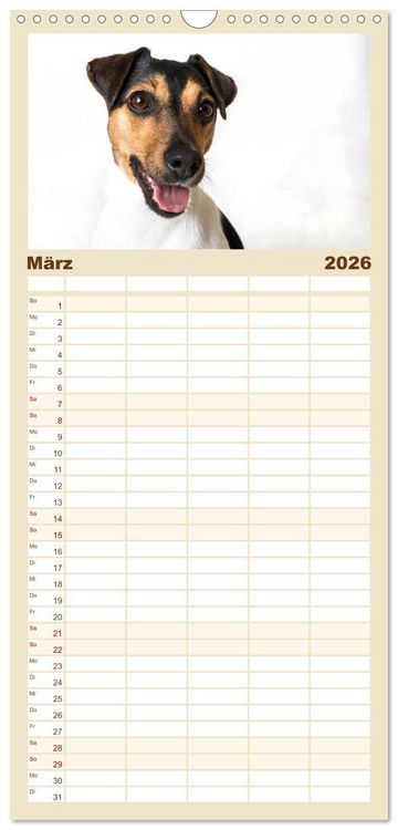 Produktbild: Familienplaner 2026 - Kleine Hunde - Gro&szlig;e Blicke mit 5 Spalten (Wandkalender, 21 x 45 cm) CALVENDO