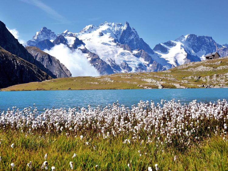 Produktbild: CALVENDO Puzzle Lac du Gol&eacute;on und die Gletscher der La Meije 1000 Teile Lege-Gr&ouml;&szlig;e 64 x 48 cm Foto-Puzzle Bild von J&uuml;rgen Feuerer