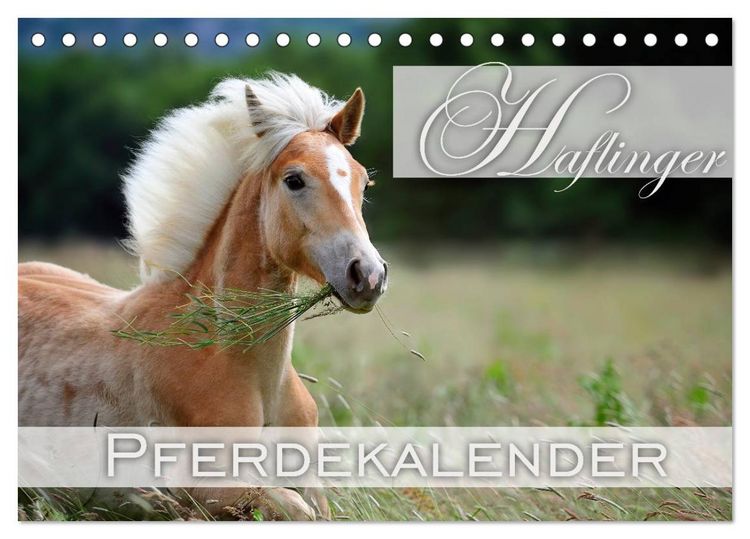 Produktbild: Haflinger / Geburtstagskalender (Tischkalender 2026 DIN A5 quer), CALVENDO Monatskalender